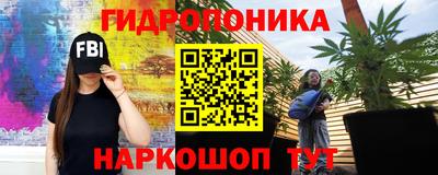 прущая мука Гатчина