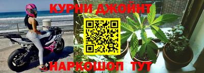 прущая мука Гатчина