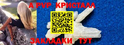 спиды Гагарин