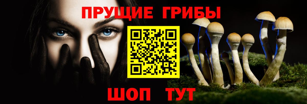 Псилоцибиновые грибы MAGIC MUSHROOMS  Вход с VPN  Москва 